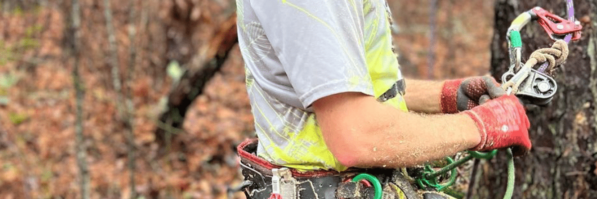 Ear Protection category banner image