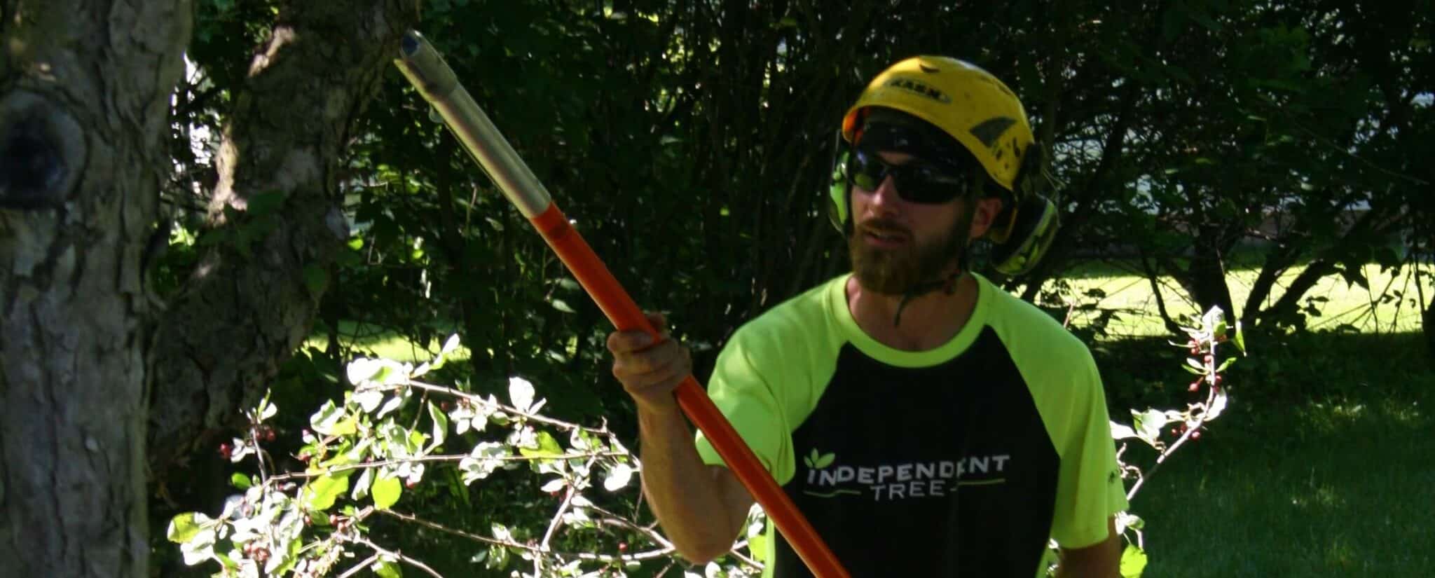 Eye Protection category banner image