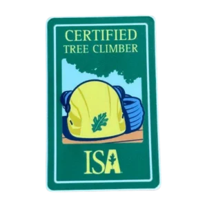 Sticker Isa TC