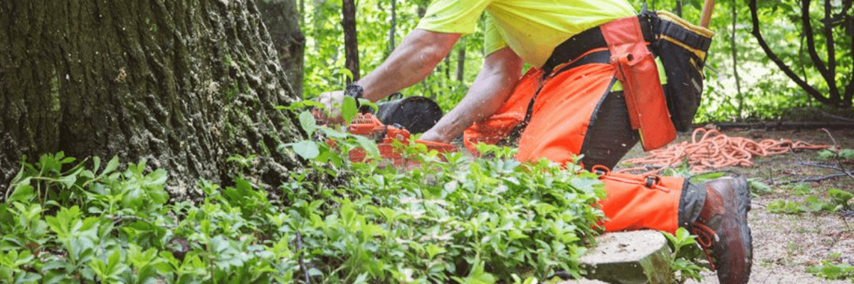 Chainsaw Protection category