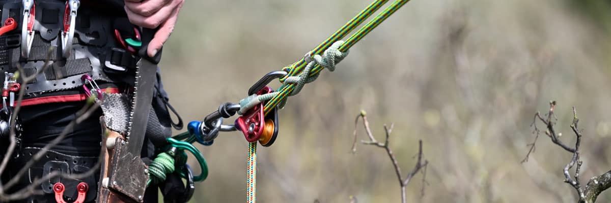 Rigging category