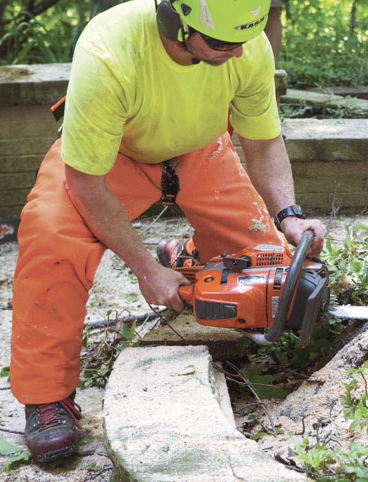 arborist wearing chaps while cutting